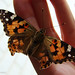 Cynthia Cordero Photo 46