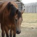 Debra Wolf Photo 14