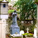 Allan Carrillo Photo 31