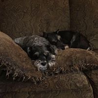 Rose Gruber Photo 17