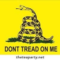 Bruce Mccarthy Photo 15