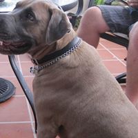 Earl Dunham Photo 12