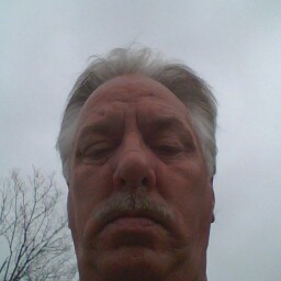 Roy Webster Photo 17
