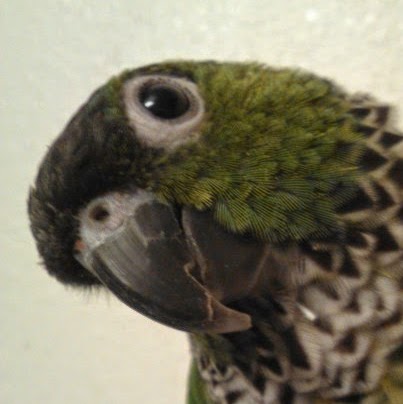 Steven Burns Photo 52