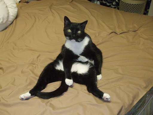 Joann Rogers Photo 19