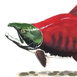 Thomas Doan Photo 32