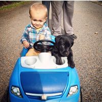 Deborah Greenfield Photo 18