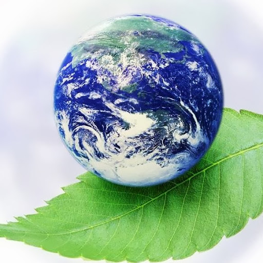 James Haley Photo 50 James Haley Photo 50