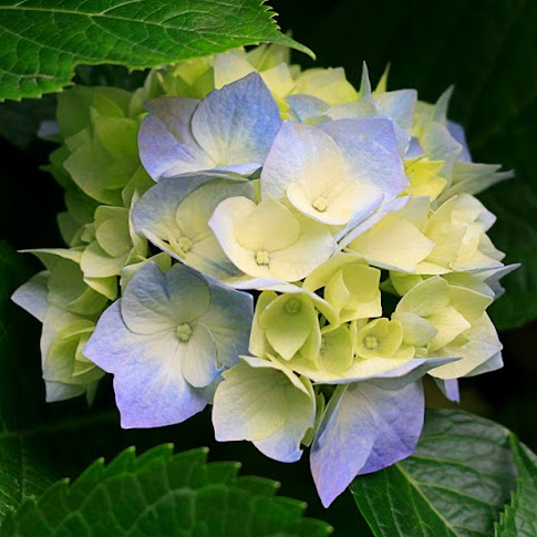 Christine Baptiste Photo 25