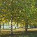 Linda Birch Photo 1