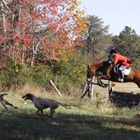 Richard Weintraub Photo 36