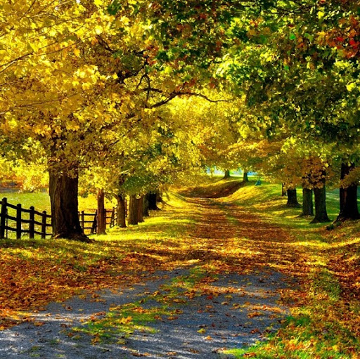 Jennifer Katz Photo 25