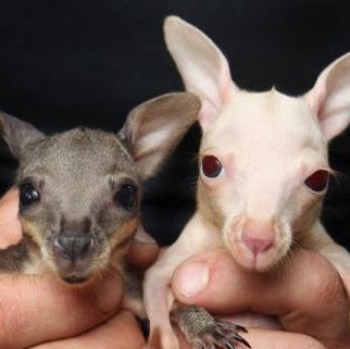 Laura Register Photo 7