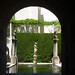 Carmen Flores Photo 27