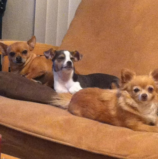 Kimberly Engle Photo 6