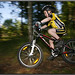 Benjamin Bauer Photo 30