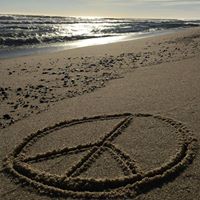 Tracey Rose Photo 16