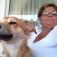 Sharon Pence Photo 7