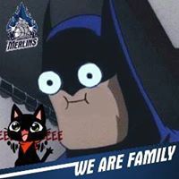 Austin Potter Photo 17