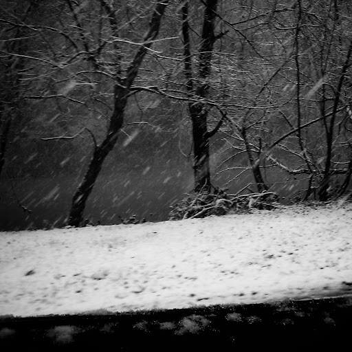 Amber Blankenship Photo 14