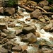 Shannon Creek Photo 14