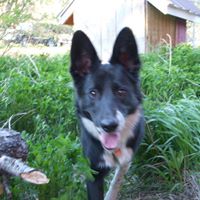 Heidi Sperry Photo 4