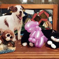 Stephanie Fulton Photo 11