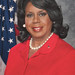 Dorothy Brown Photo 32