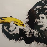 Jason Fiedler Photo 24