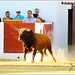 Luis Villanueva Photo 32