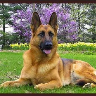 Janet Gonzales Photo 36