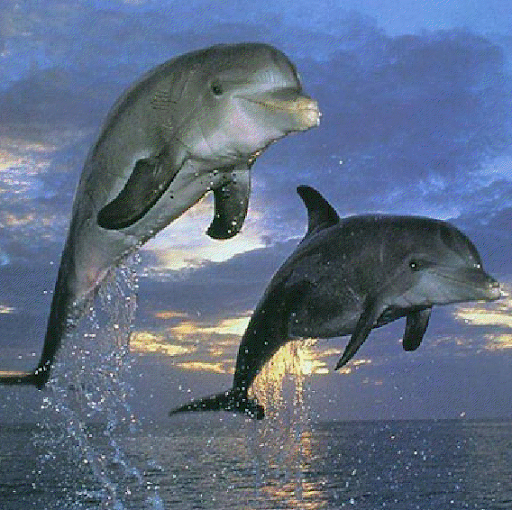 Julie Brunette Photo 6