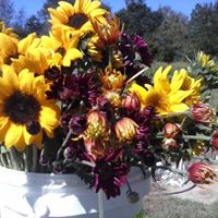 Mary Bartlett Photo 38