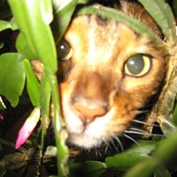 Sandra Mauch Photo 4