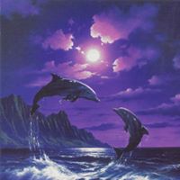 Rosemarie Jenkins Photo 5