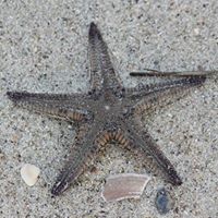 Tracy Lilly Photo 21