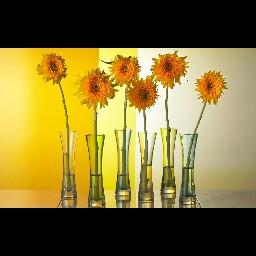 Paula Walker Photo 27