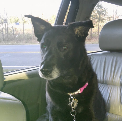 Kathleen English Photo 36