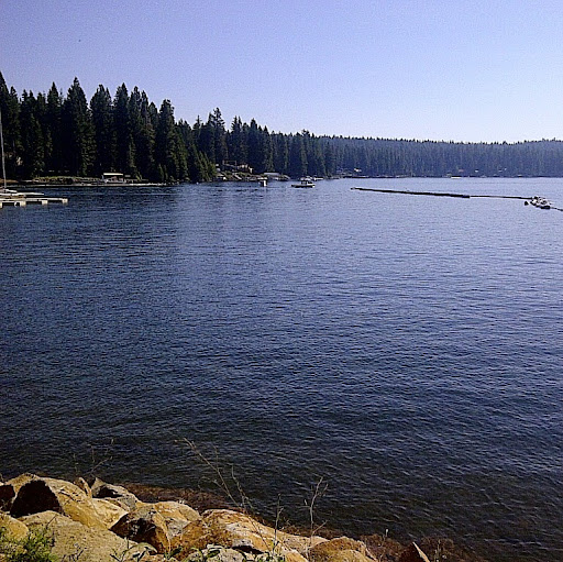 Julie Newell Photo 14