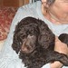 Elaine Casey Photo 6