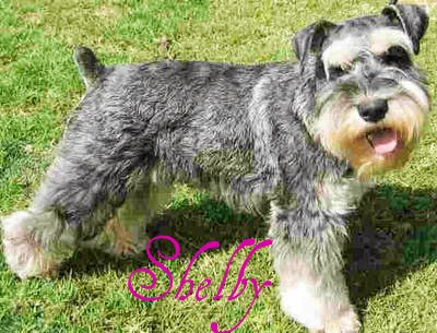 Vicki Lindsey Photo 10