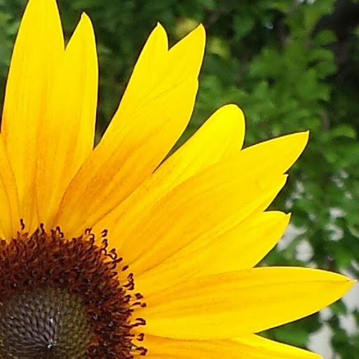 Lori Cleveland Photo 24