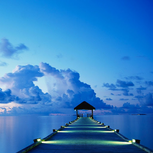 Bobbie Stewart Photo 4