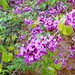 Lori Greene Photo 11