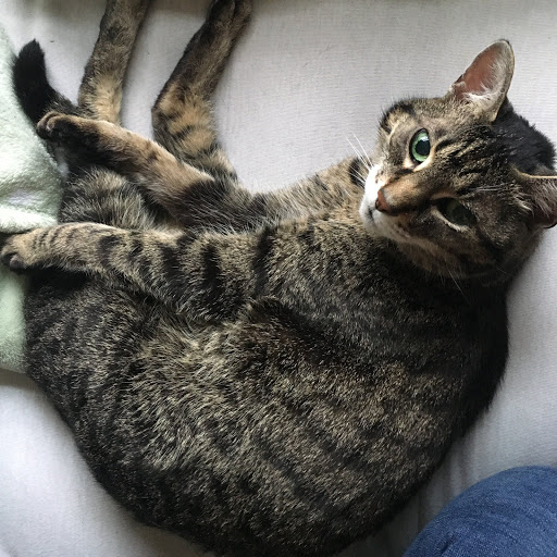 Shannon Knowles Photo 14