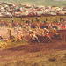 Kris Hansen Photo 28