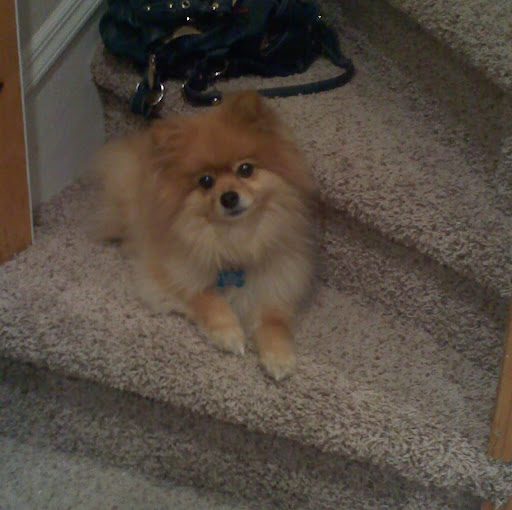 Cindy Vance Photo 39