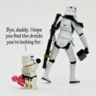 David Walter Photo 21 David Walter Photo 21