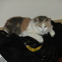 Marie Sheedy Photo 7