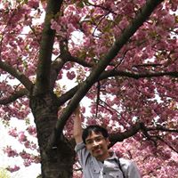 Anthony Chu Photo 18